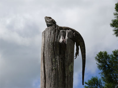 Hangin' around